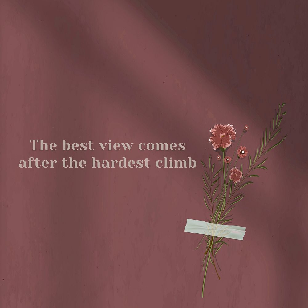 The best view comes after the hardest climb inspirational quote on wall