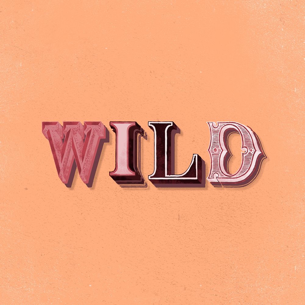 3D word wild vintage typography