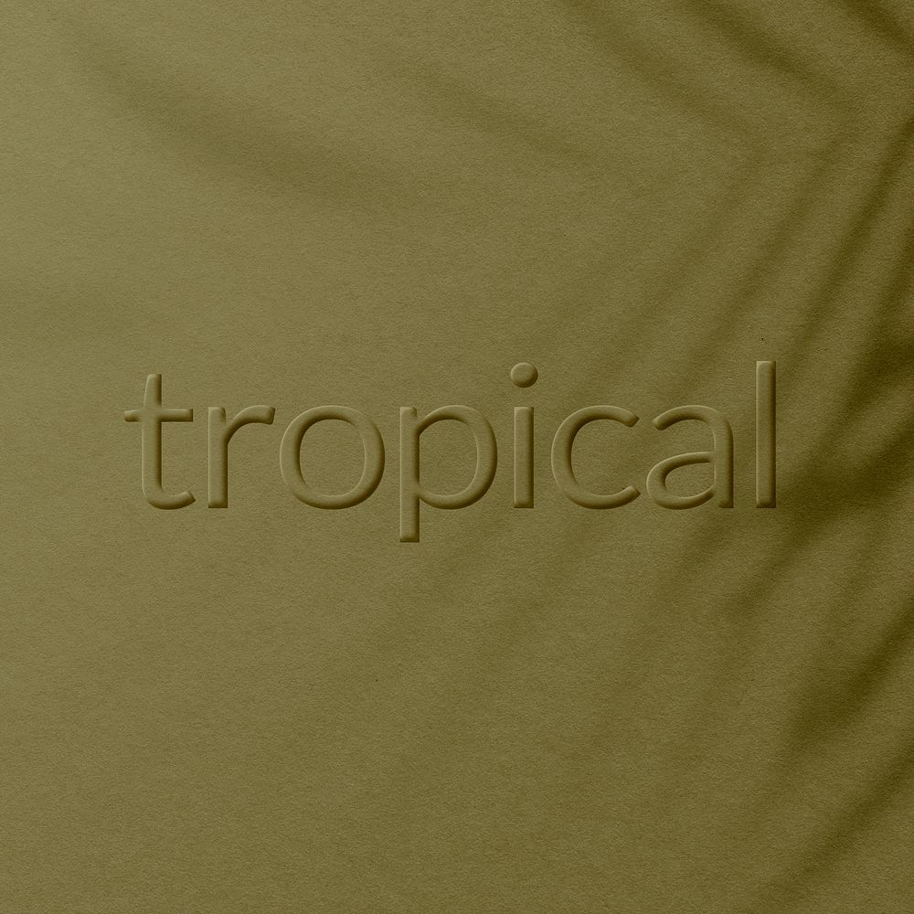 Tropical word embossed plant shadow textured font