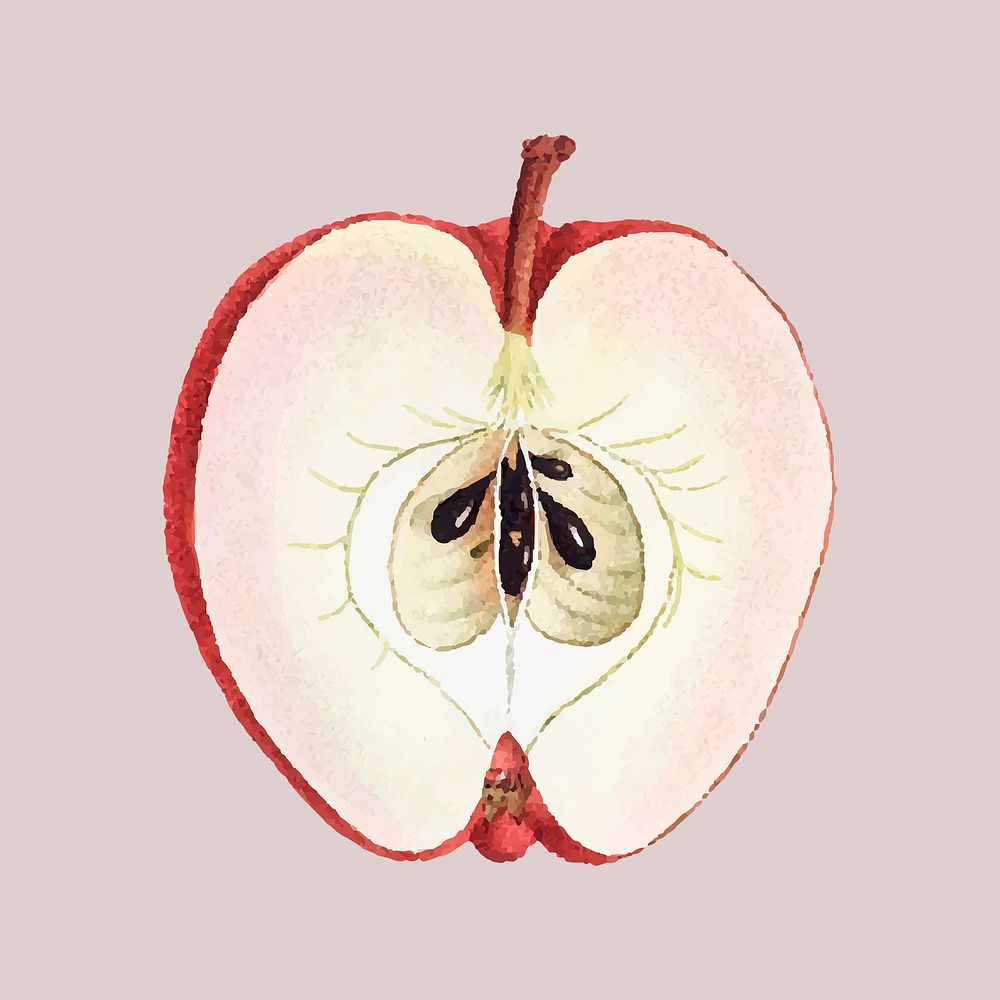 Vintage red apple psd cut in half fruit
