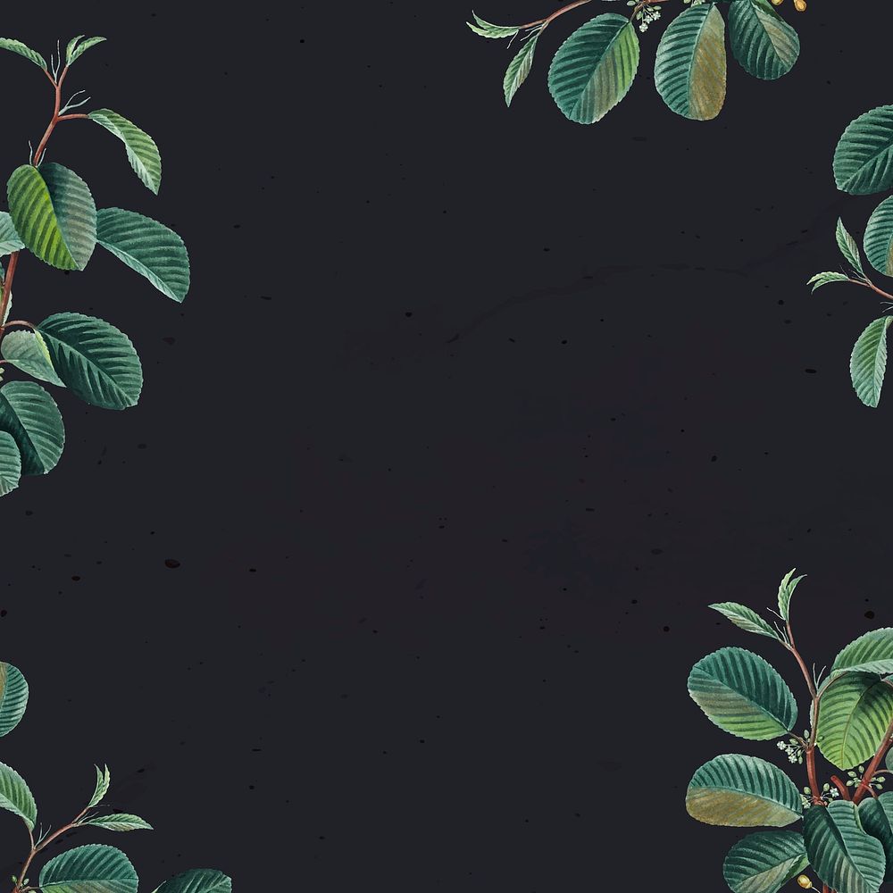 Green leaf frame vector floral background