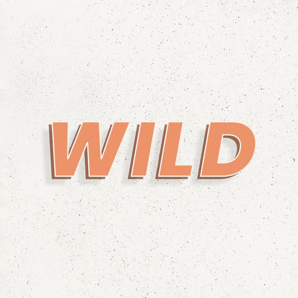 Wild word retro bold typography