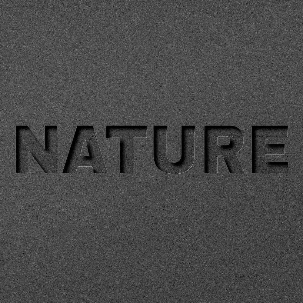 Nature 3d paper cut font typography