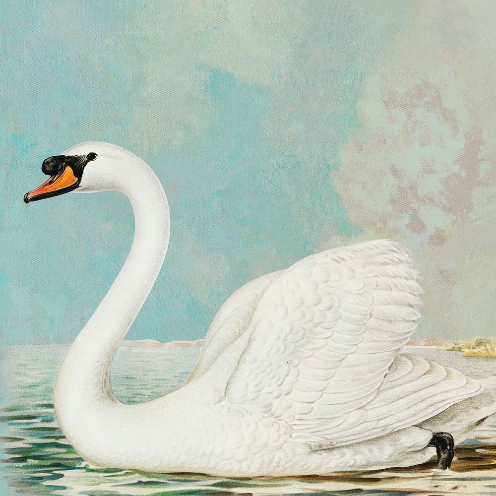White swan on lake vintage painting