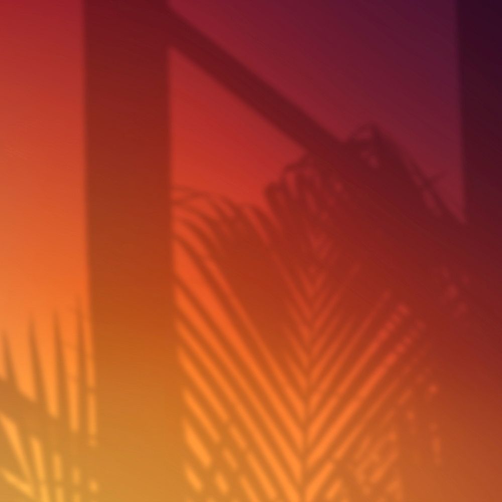Sunset color background with leaf shadow