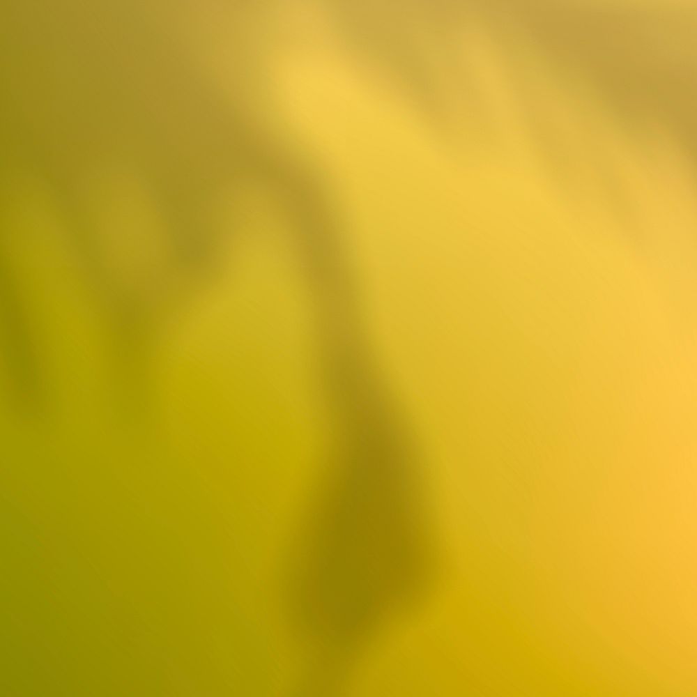 Abstract yellow gradient background with plant shadow