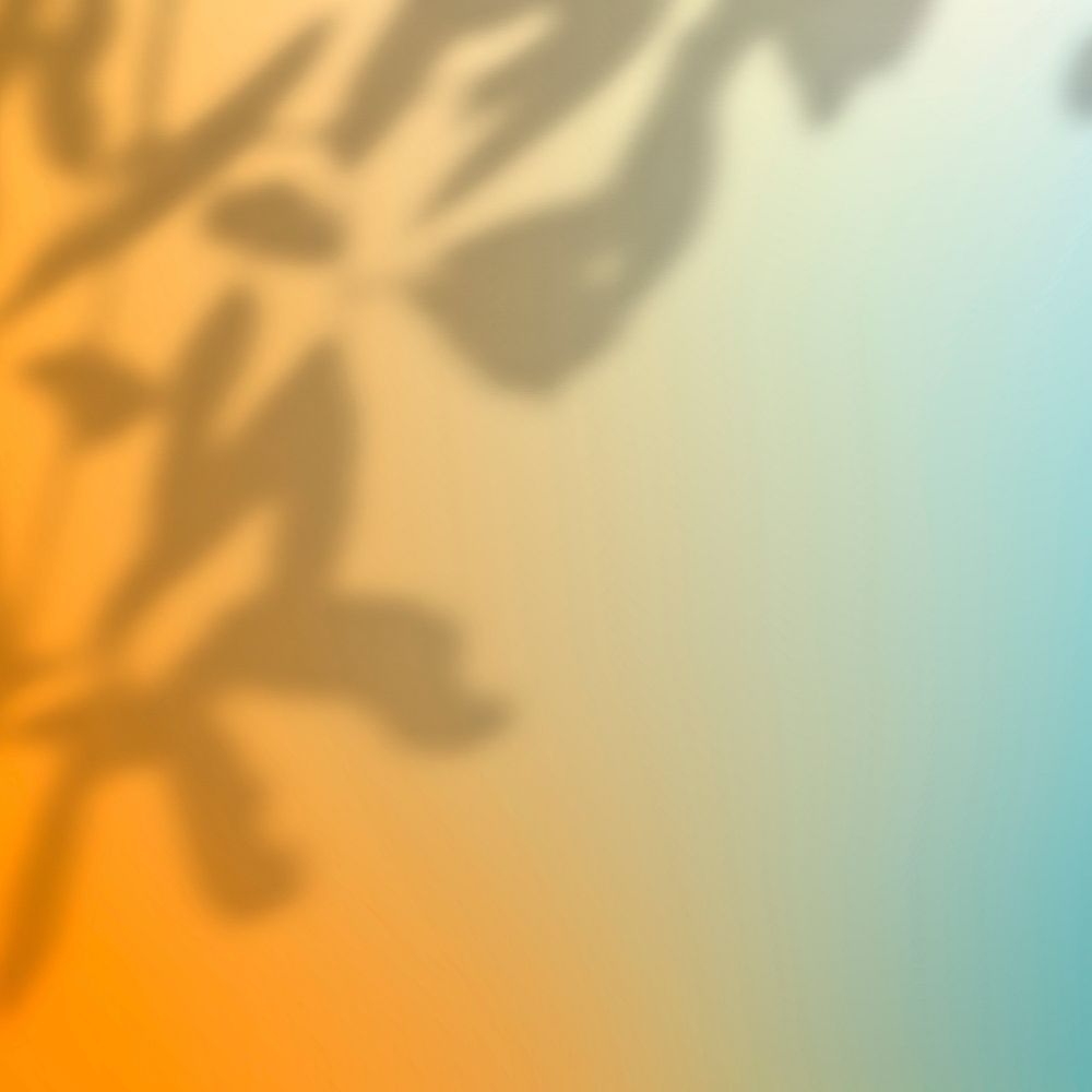Colorful gradient background with leaf shadow