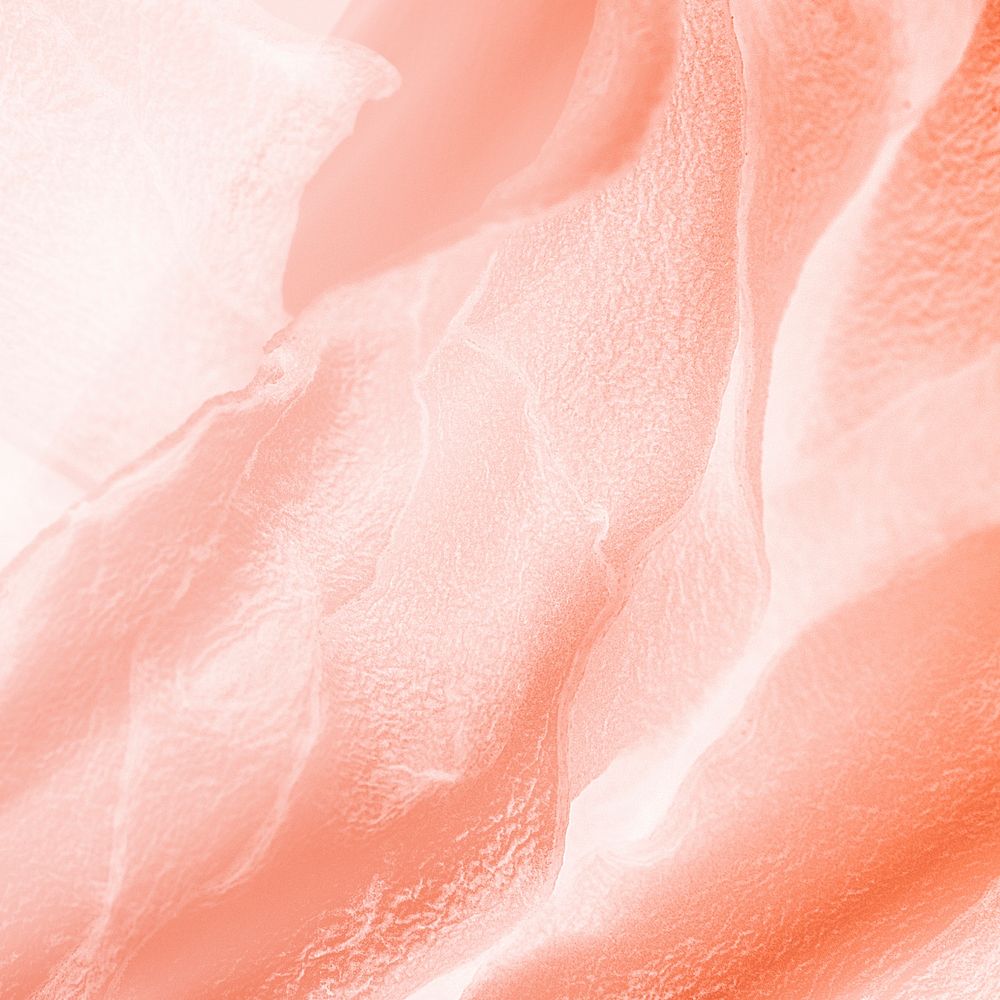 Peach petal texture background for social media post
