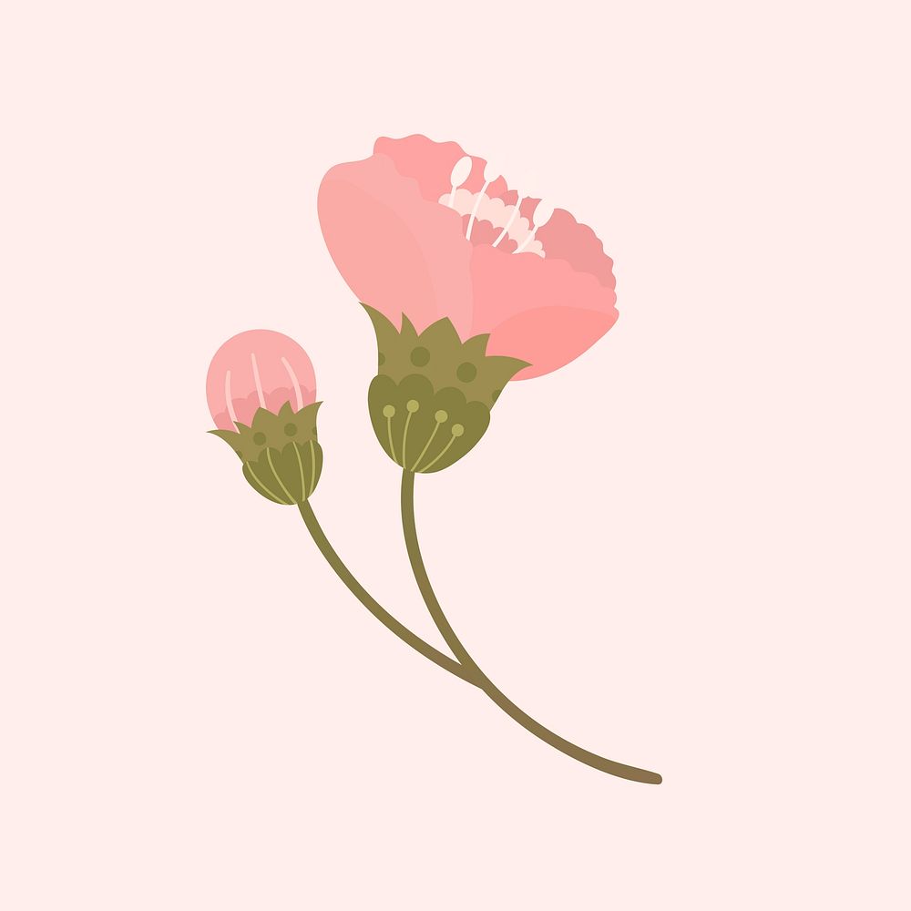 Pink sakura flower blooming vector design element