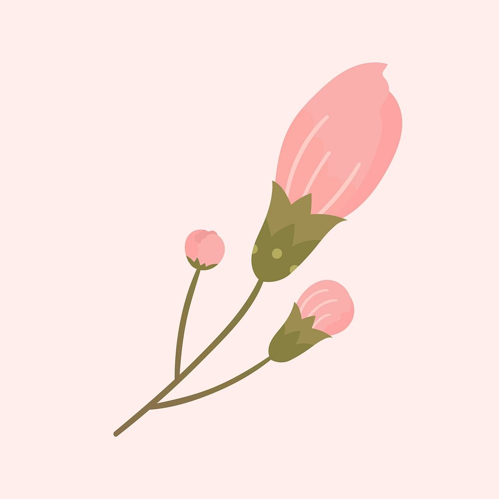 Pink sakura flower blooming vector design element
