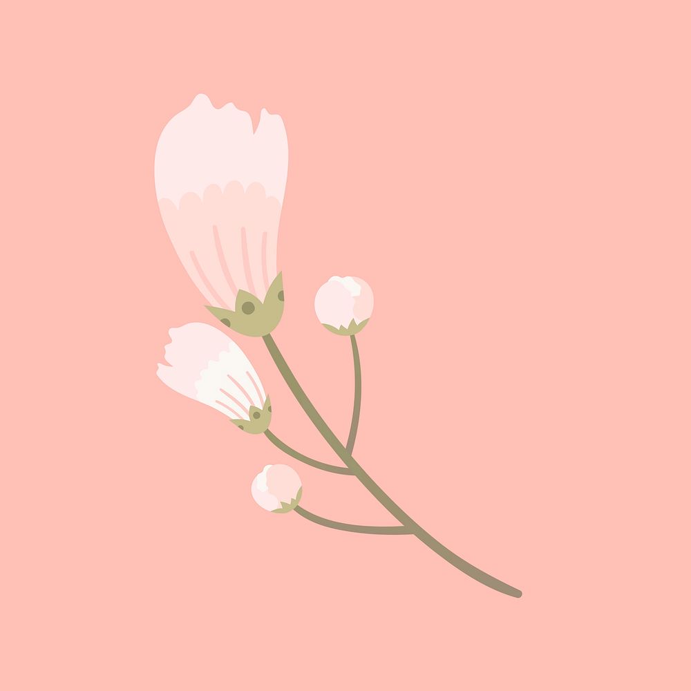 White sakura flower blooming vector design element