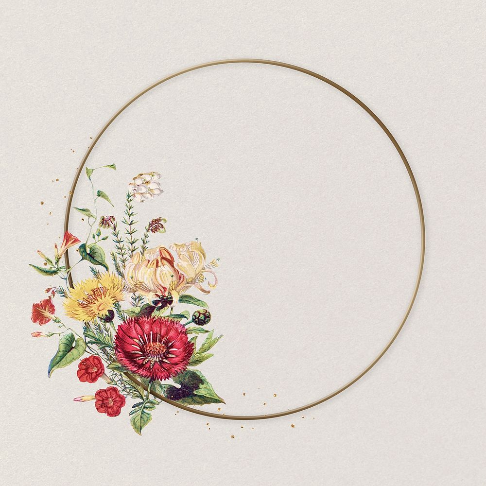 Elegant flower circle frame colorful sweet sultan classic botanical illustration
