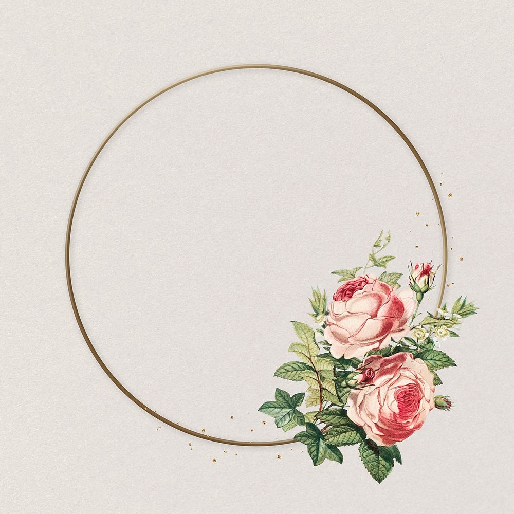 Flower rose circle frame pink vintage illustration