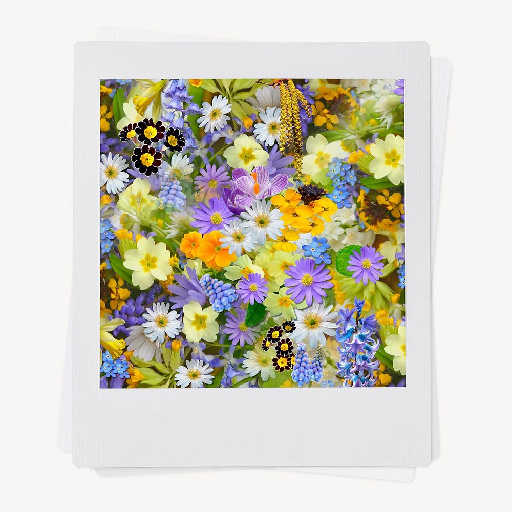 Spring flowers, aesthetic instant photo