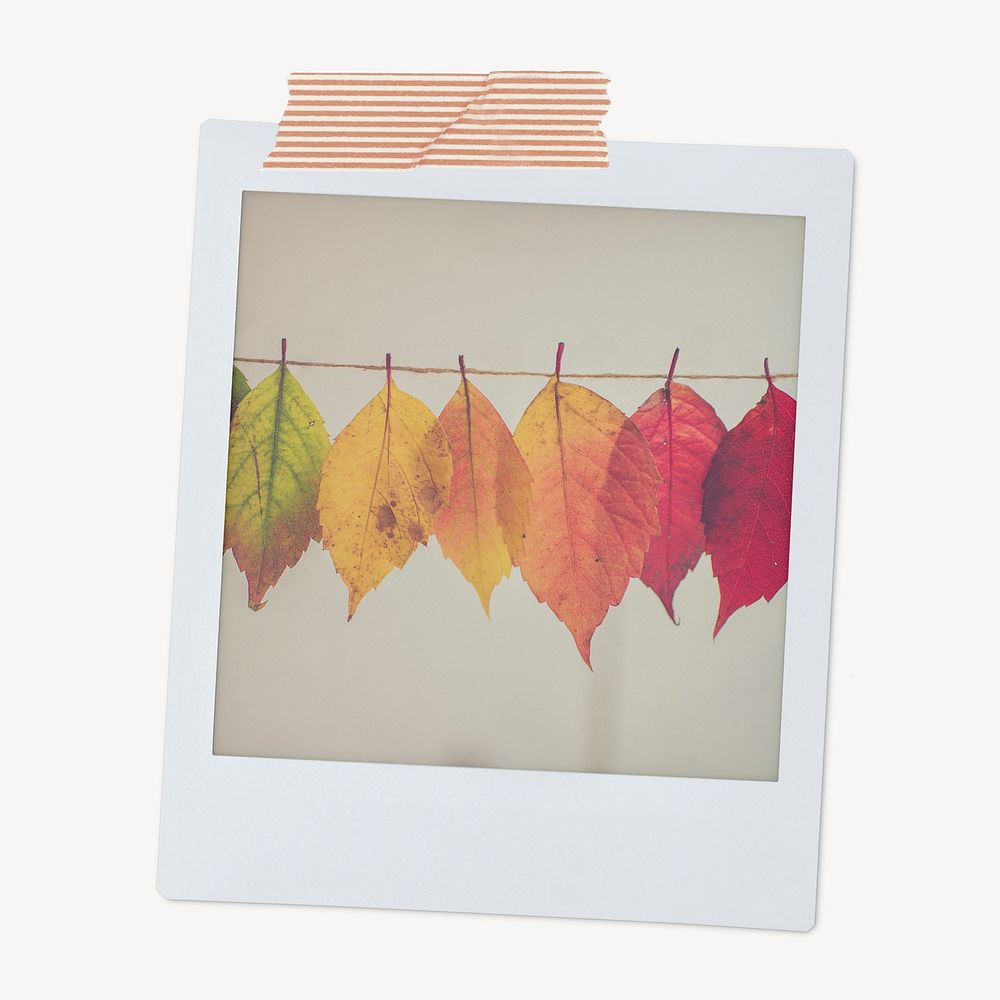 Autumn leaves, Fall aesthetic instant photo with washi tape