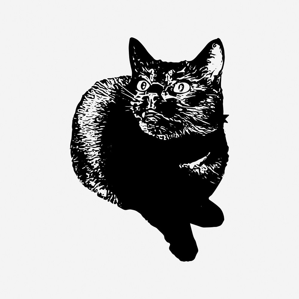 Cat, drawing illustration. Free public domain CC0 image.
