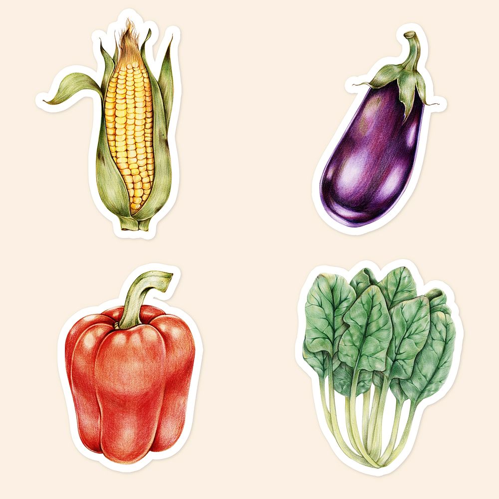 Fresh vegetable psd illustration botanical hand drawn mixed