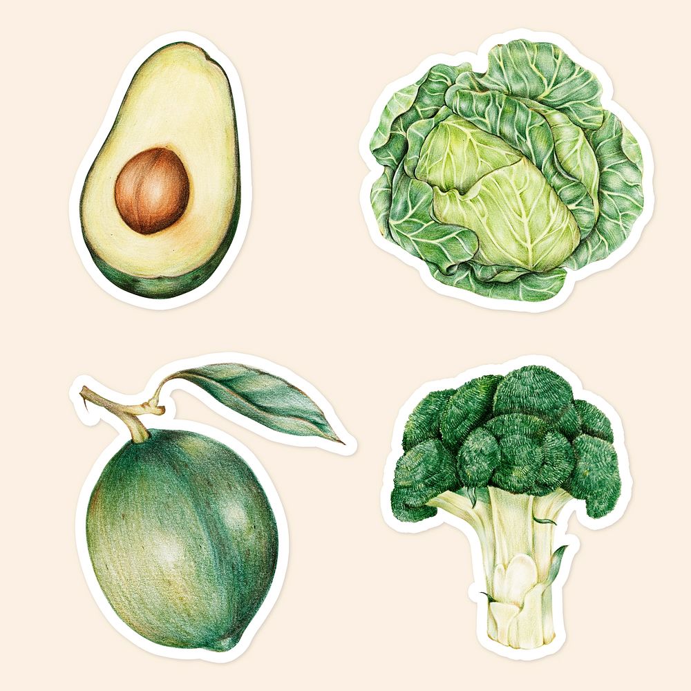 Green vegetables sticker psd organic botanical illustration collection