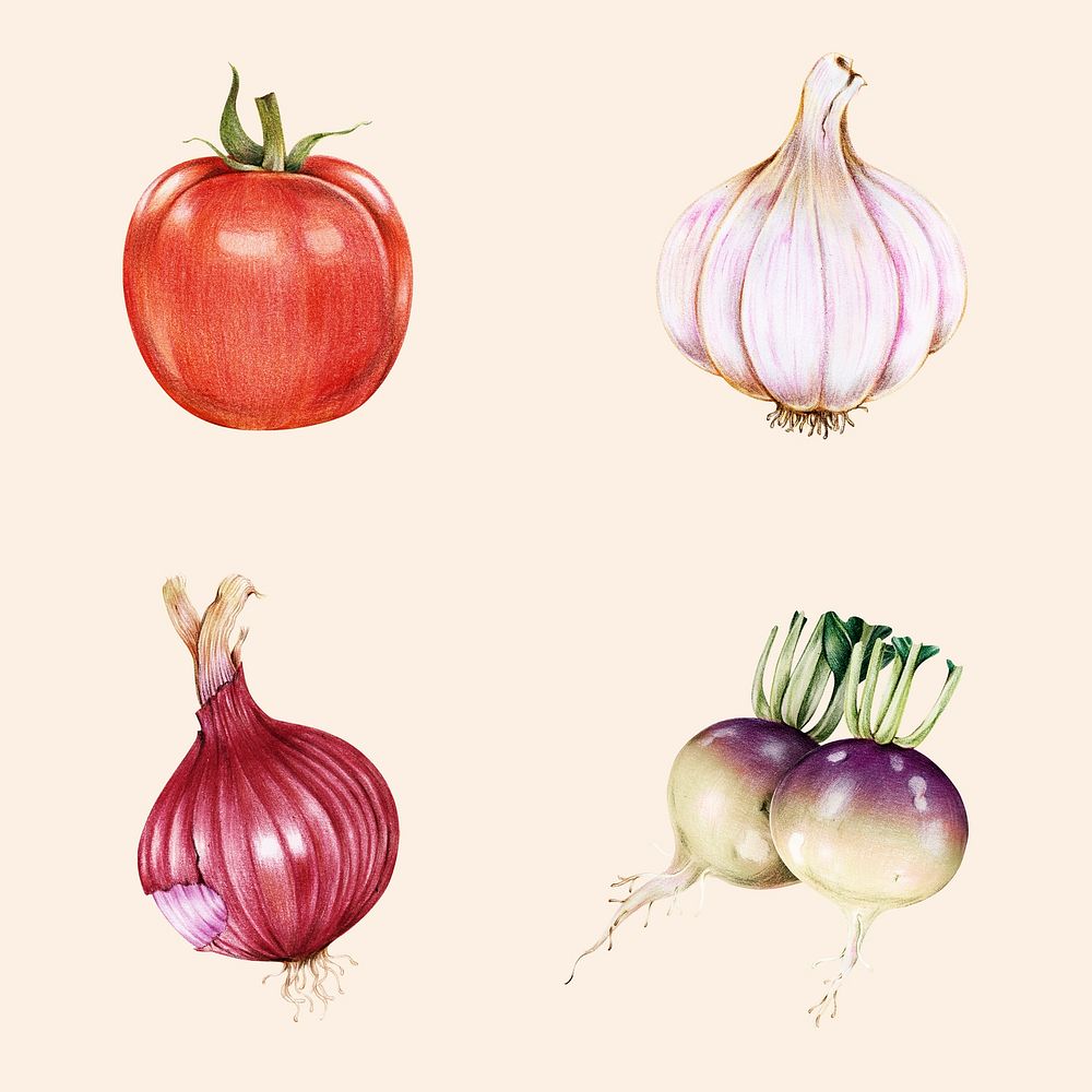 Fresh vegetables psd illustration sticker collection