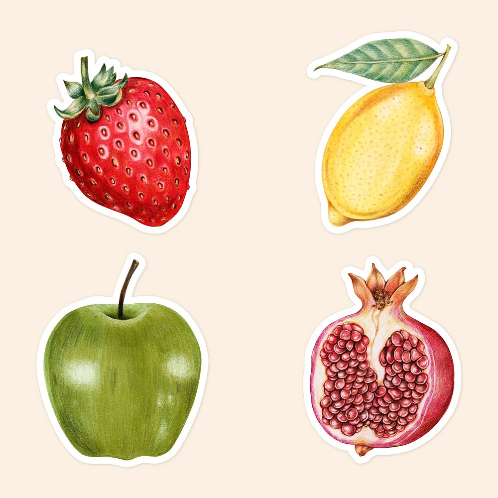 Summer fruits psd illustration hand drawn set