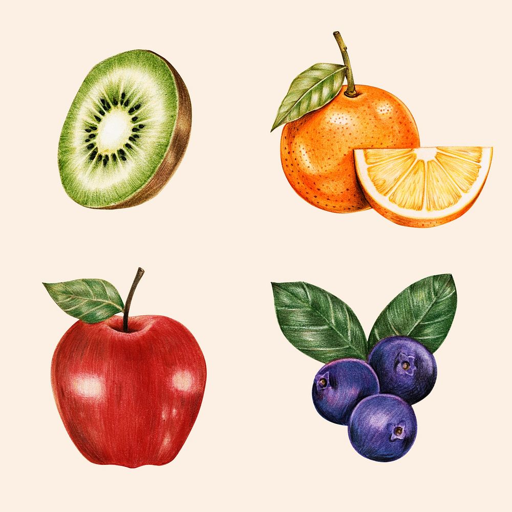 Vintage summer fruits illustration psd hand drawn collection