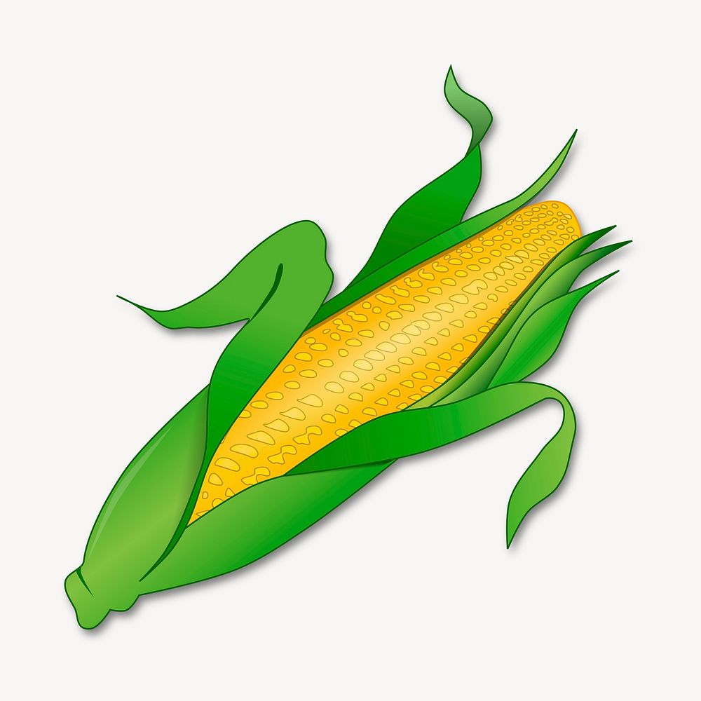 Corn, vegetable clipart, illustration psd. Free public domain CC0 image.
