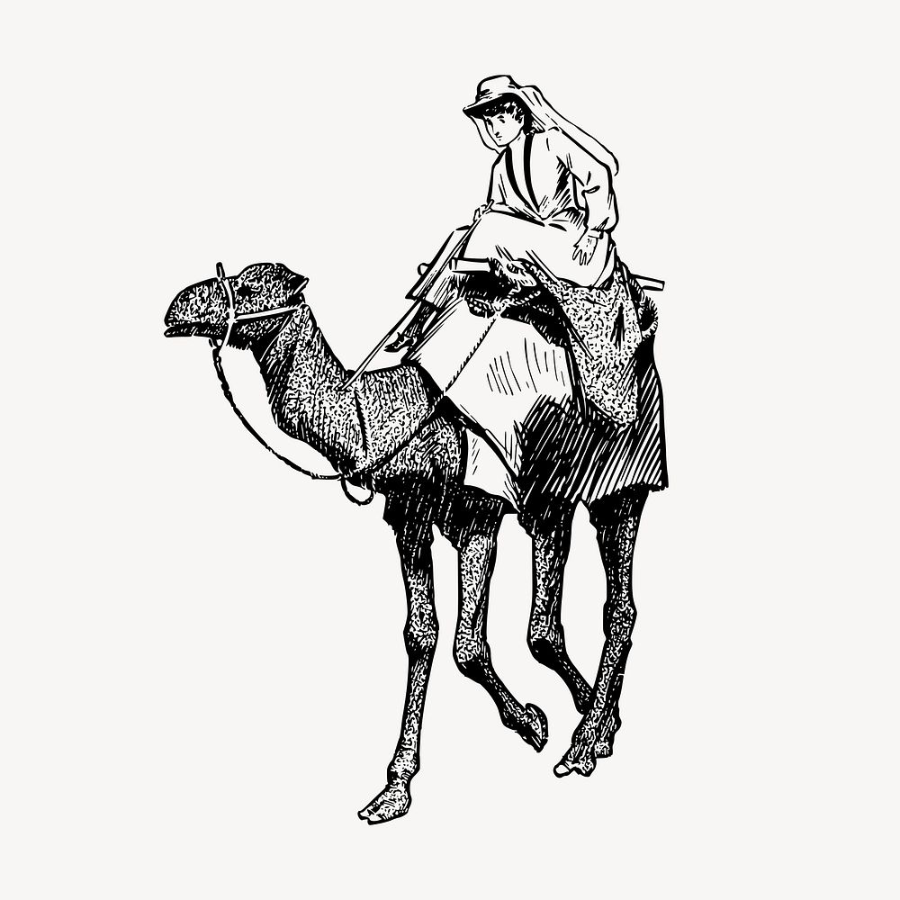 Camel rider drawing, vintage illustration psd. Free public domain CC0 image.