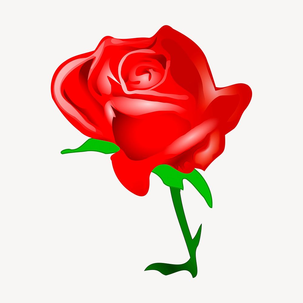 Red rose clipart, illustration. Free public domain CC0 image.