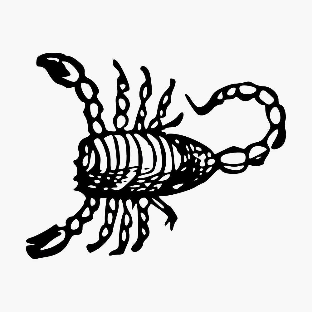 Scorpion drawing, illustration vector. Free public domain CC0 image.