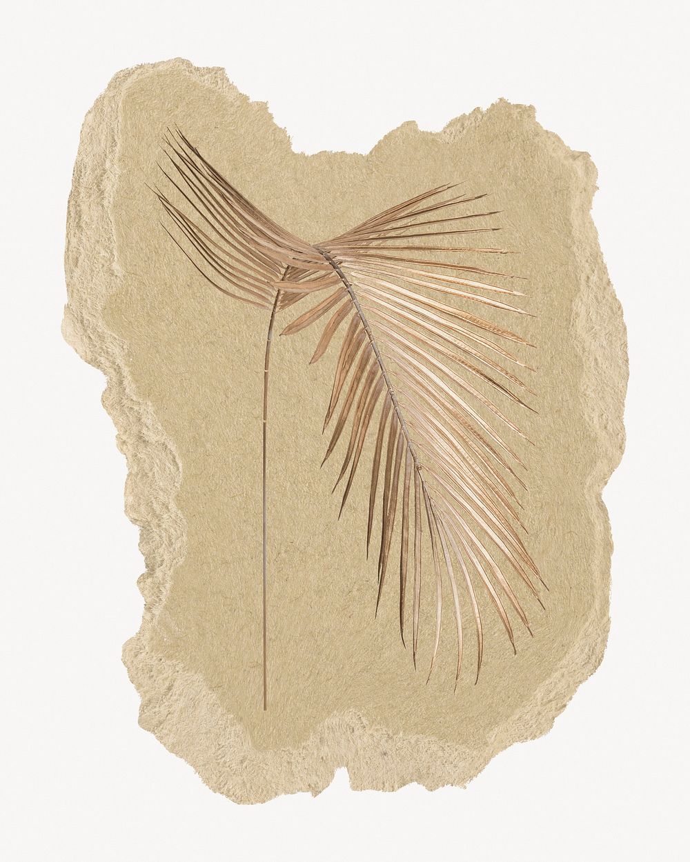 Gold palm leaf branch, ripped paper collage element