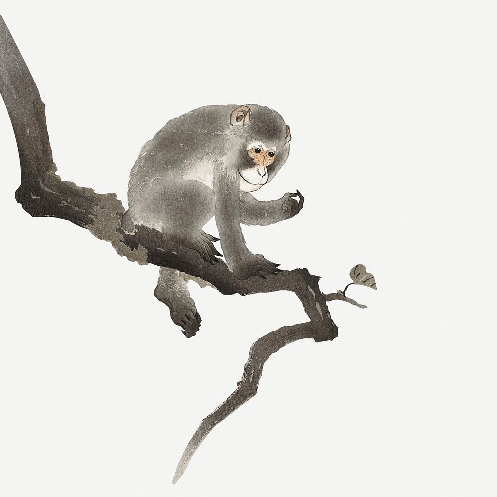 Monkey on tree, vintage animal illustration psd
