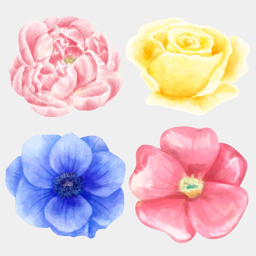 Blooming flowers vector watercolor collection