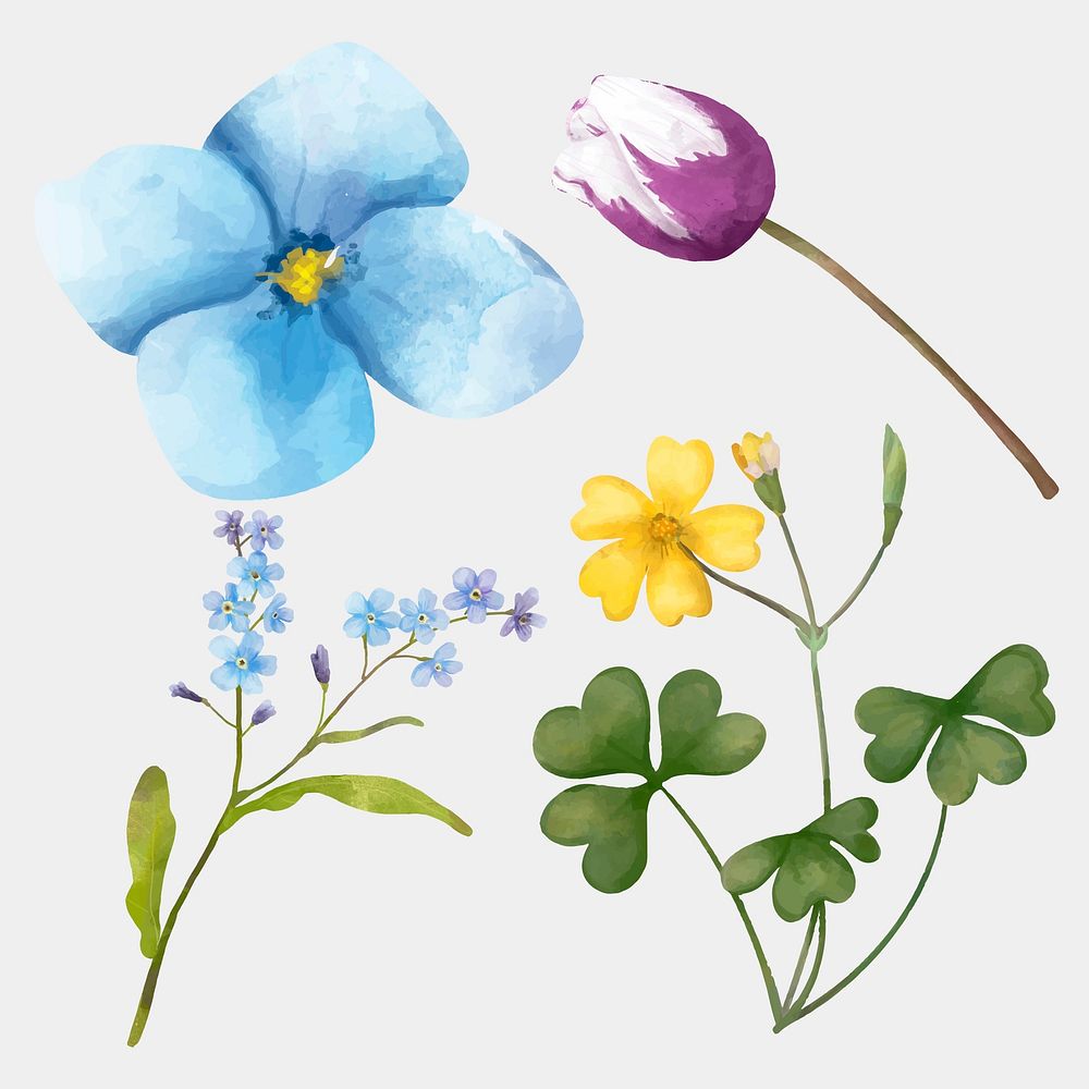 Watercolor flower vector drawing clipart collection