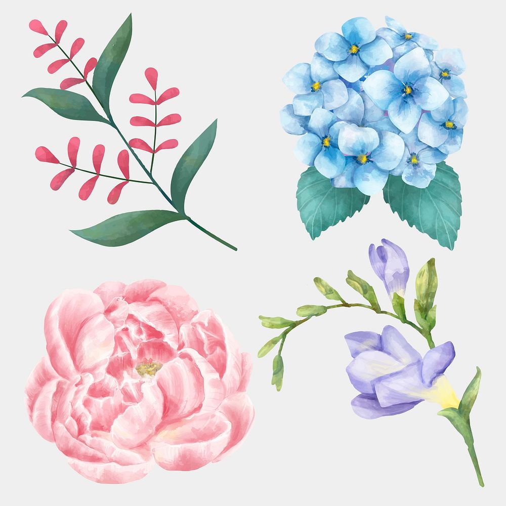 Blooming flowers vector watercolor set