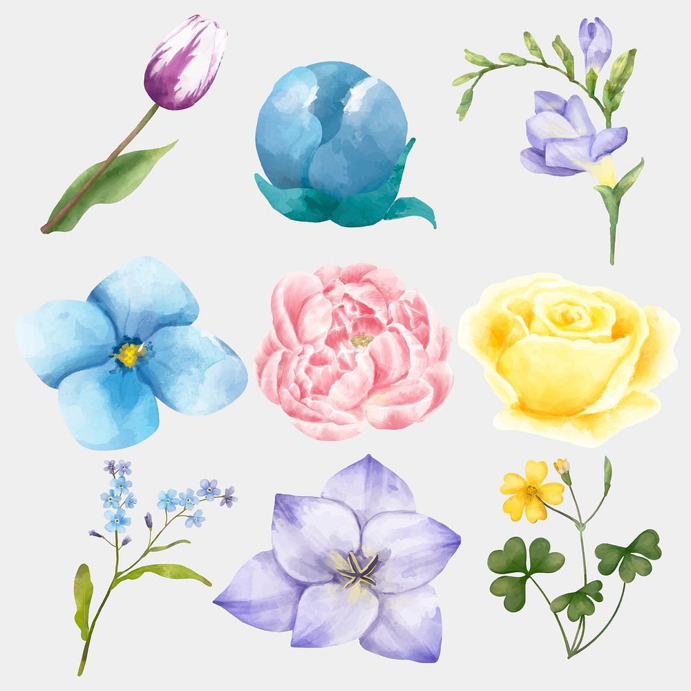 Watercolor colorful flowers psd drawing clipart set