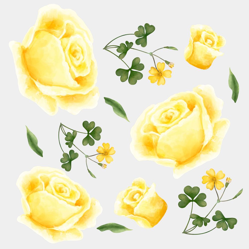 Yellow blooming roses vector illustration set