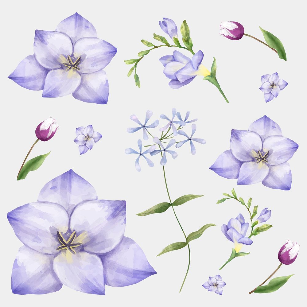 Watercolor flowers psd floral painting illustration set