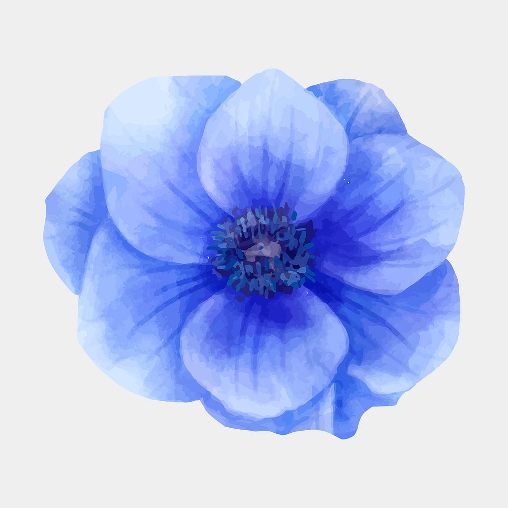 Blooming blue flower psd watercolor drawing botanical clipart