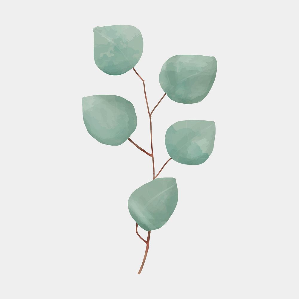Watercolor green leaf psd vintage drawing clipart