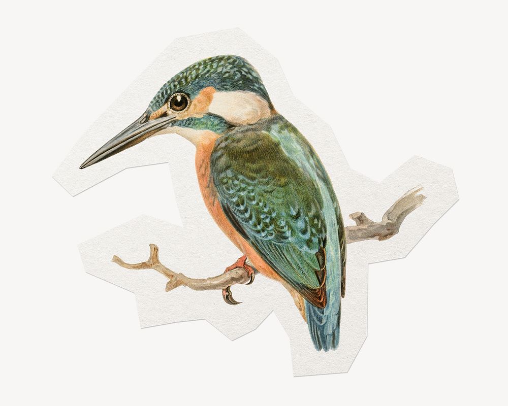 Kingfisher bird clipart sticker, paper craft collage element