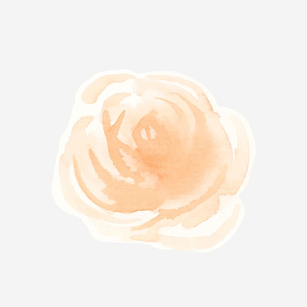 Watercolor rose psd hand drawn sticker element