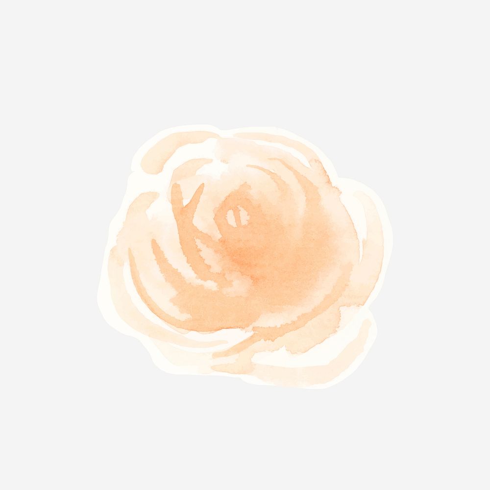 Rose flower vector watercolor decorative sticker