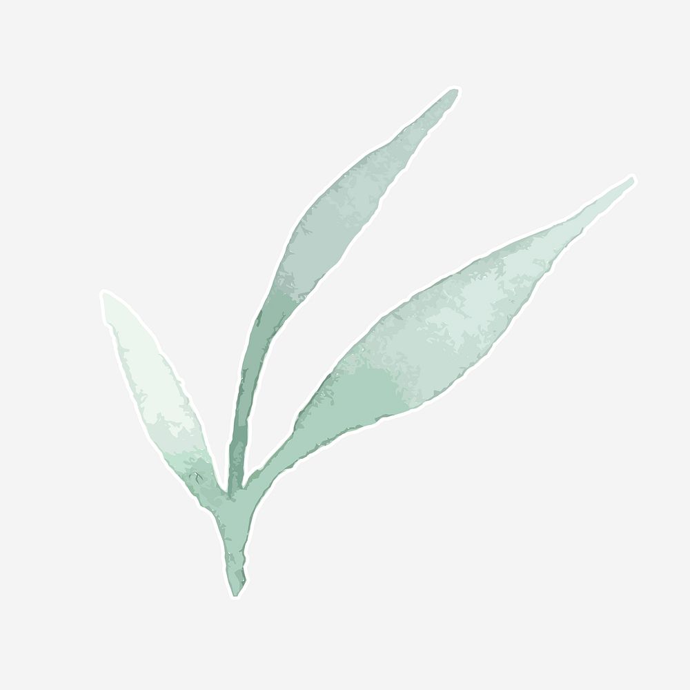 Watercolor green leaves vector hand drawn sticker element