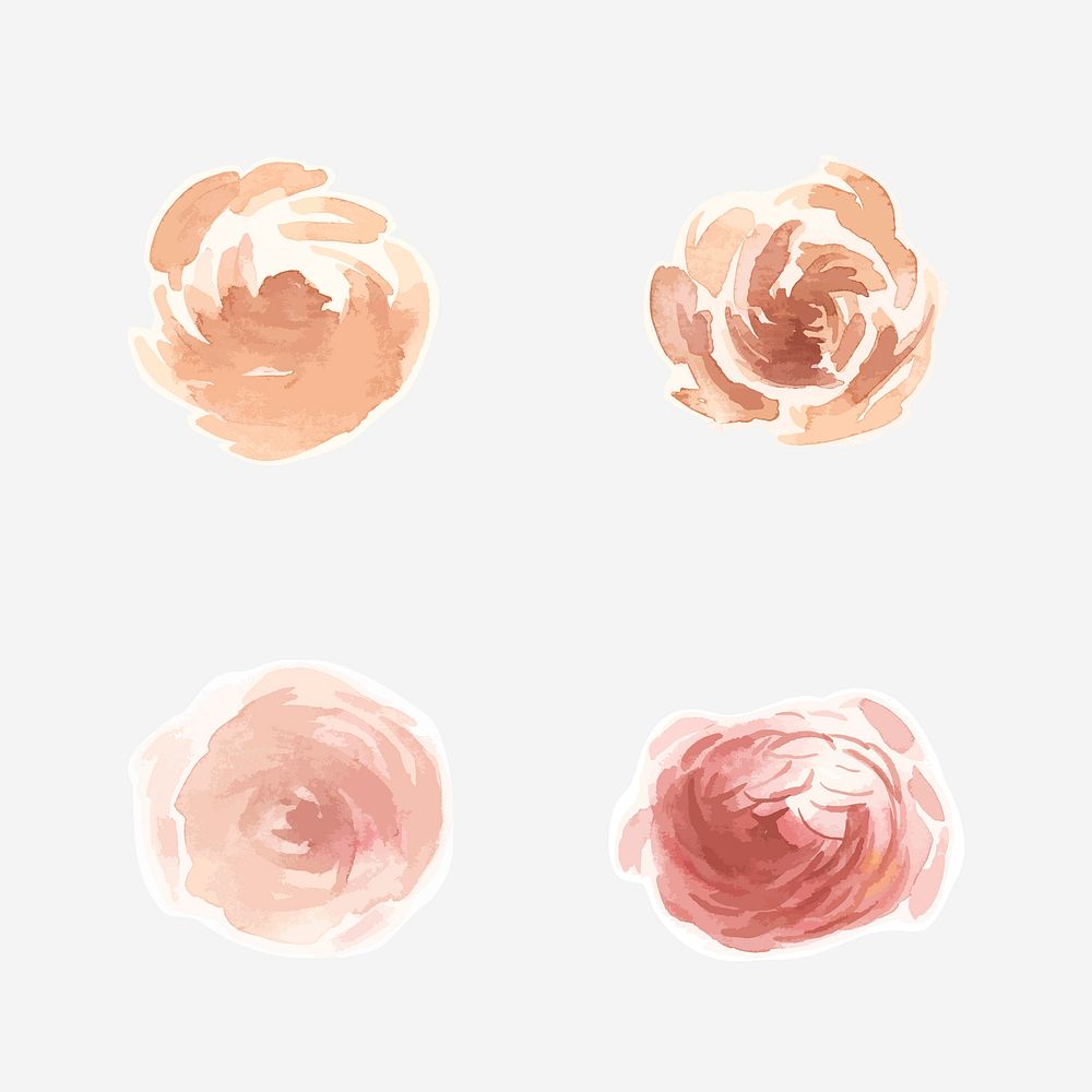 Rose and peony flowers watercolor illustrations set