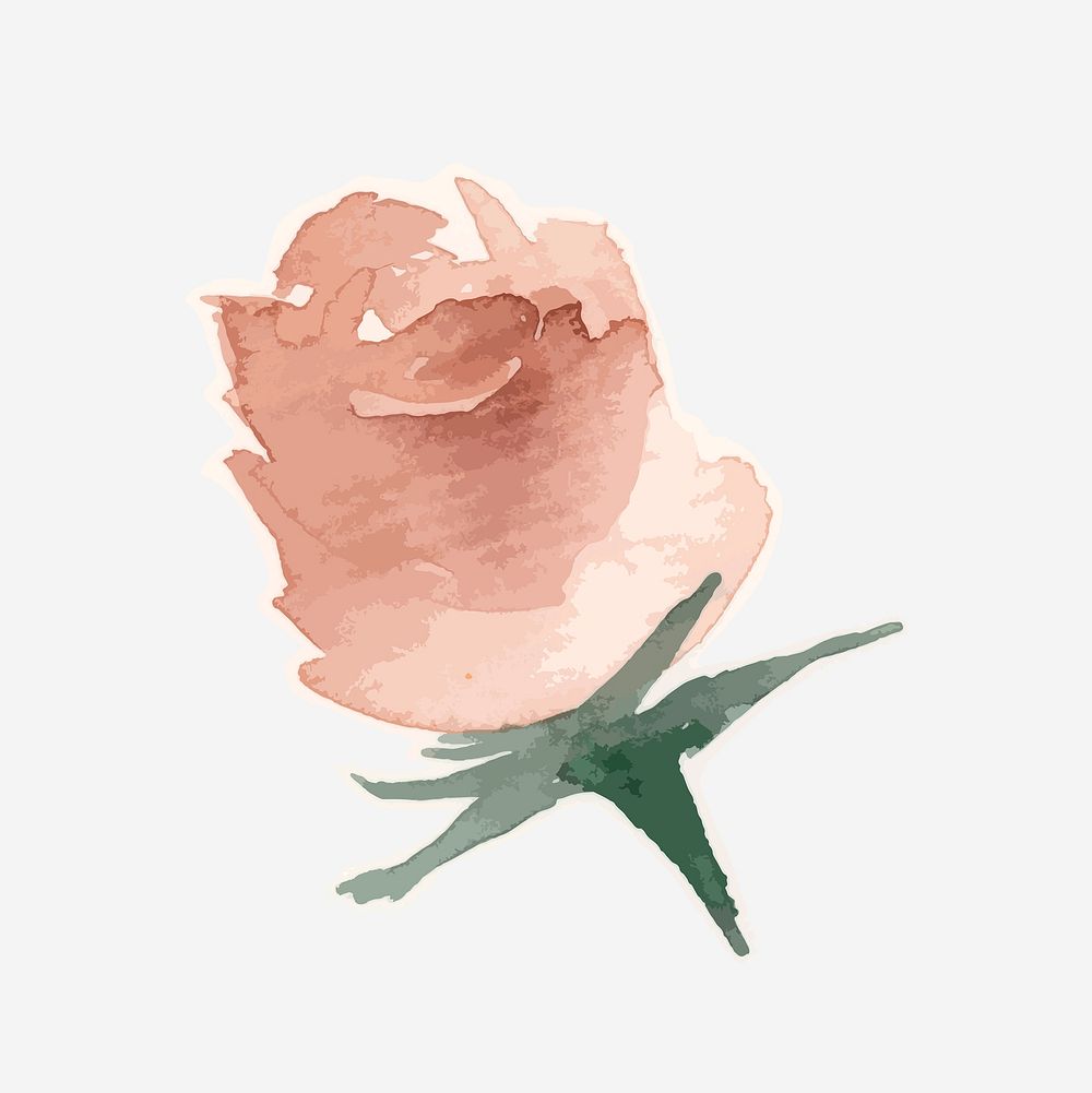 Watercolor rose flower psd hand drawn sticker element