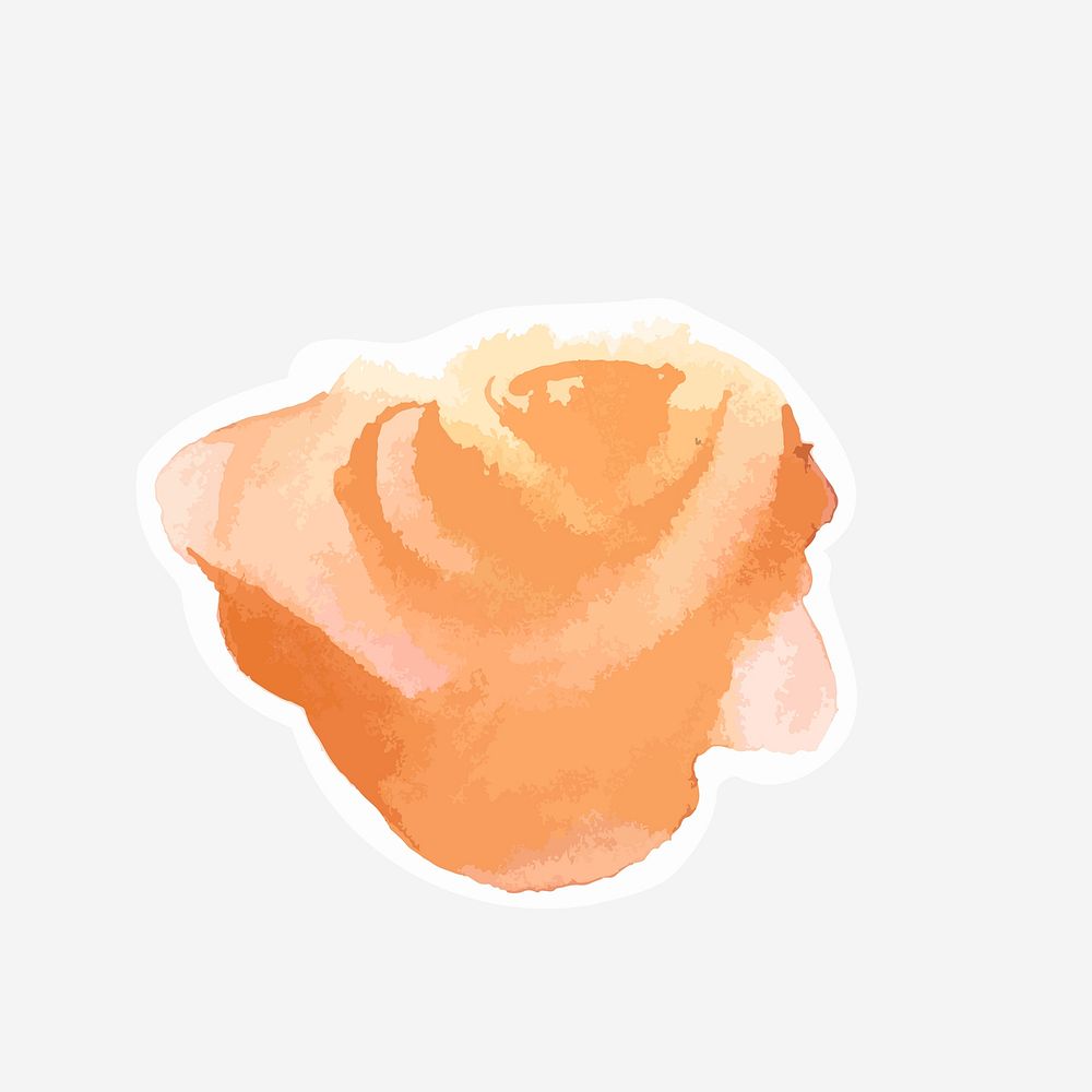 Orange rose vector watercolor diary sticker