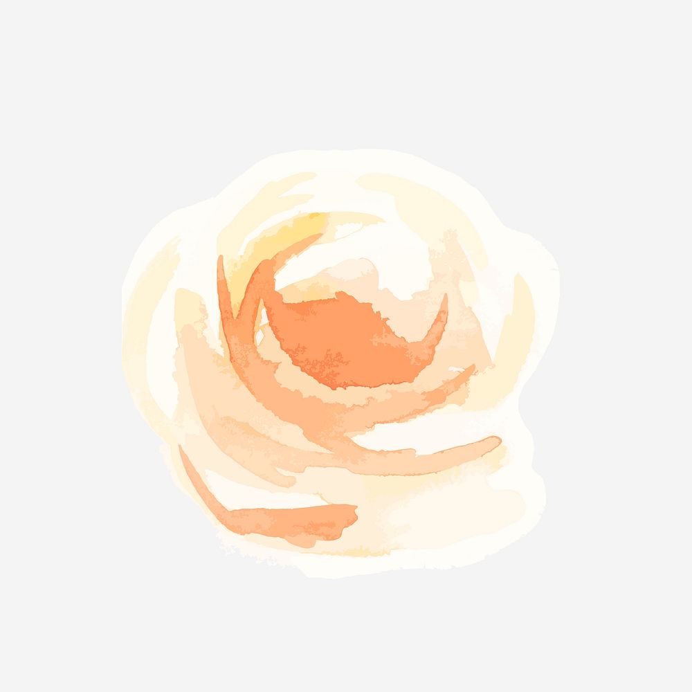 Classic orange rose hand drawn watercolor flower