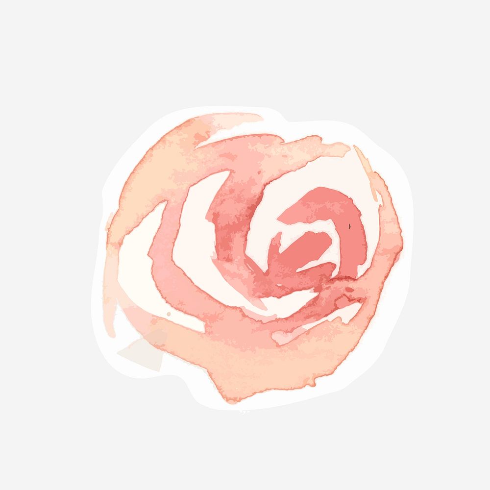 Pink rose vector flower drawing element graphic