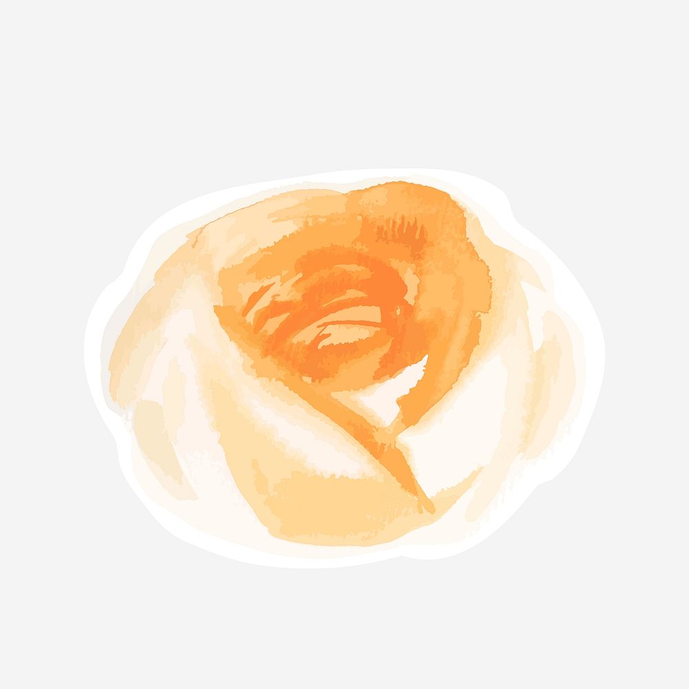 Orange peony vector flower drawing element graphic