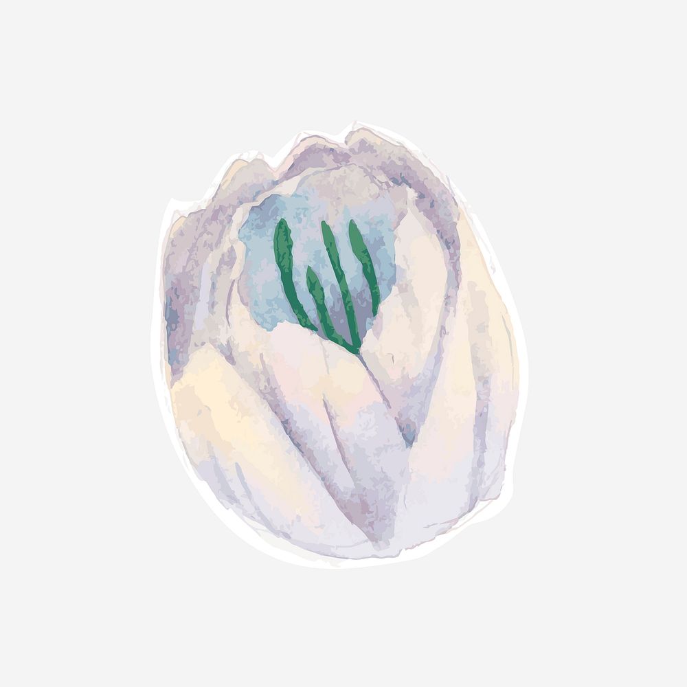 Classic floral hand drawn watercolor flower